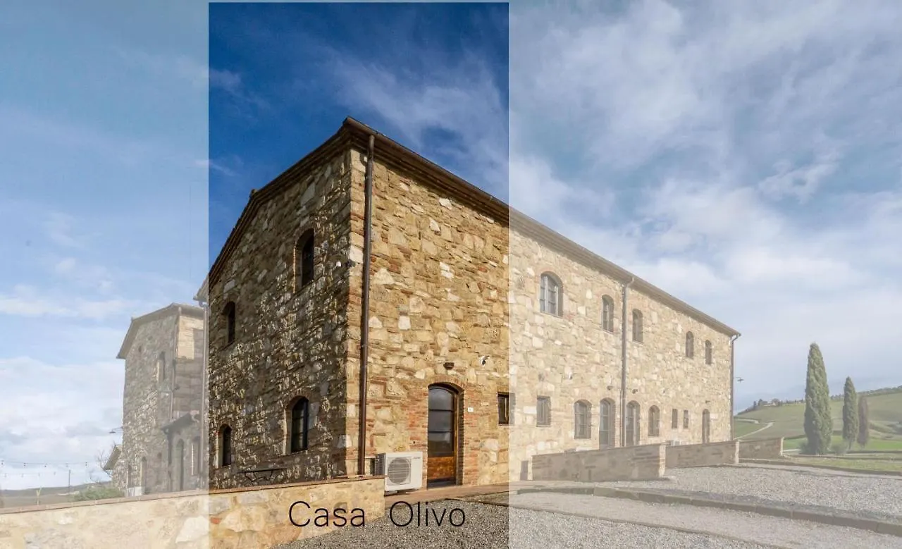 Podere Fossaccio Casa Olivo Asciano Holiday home