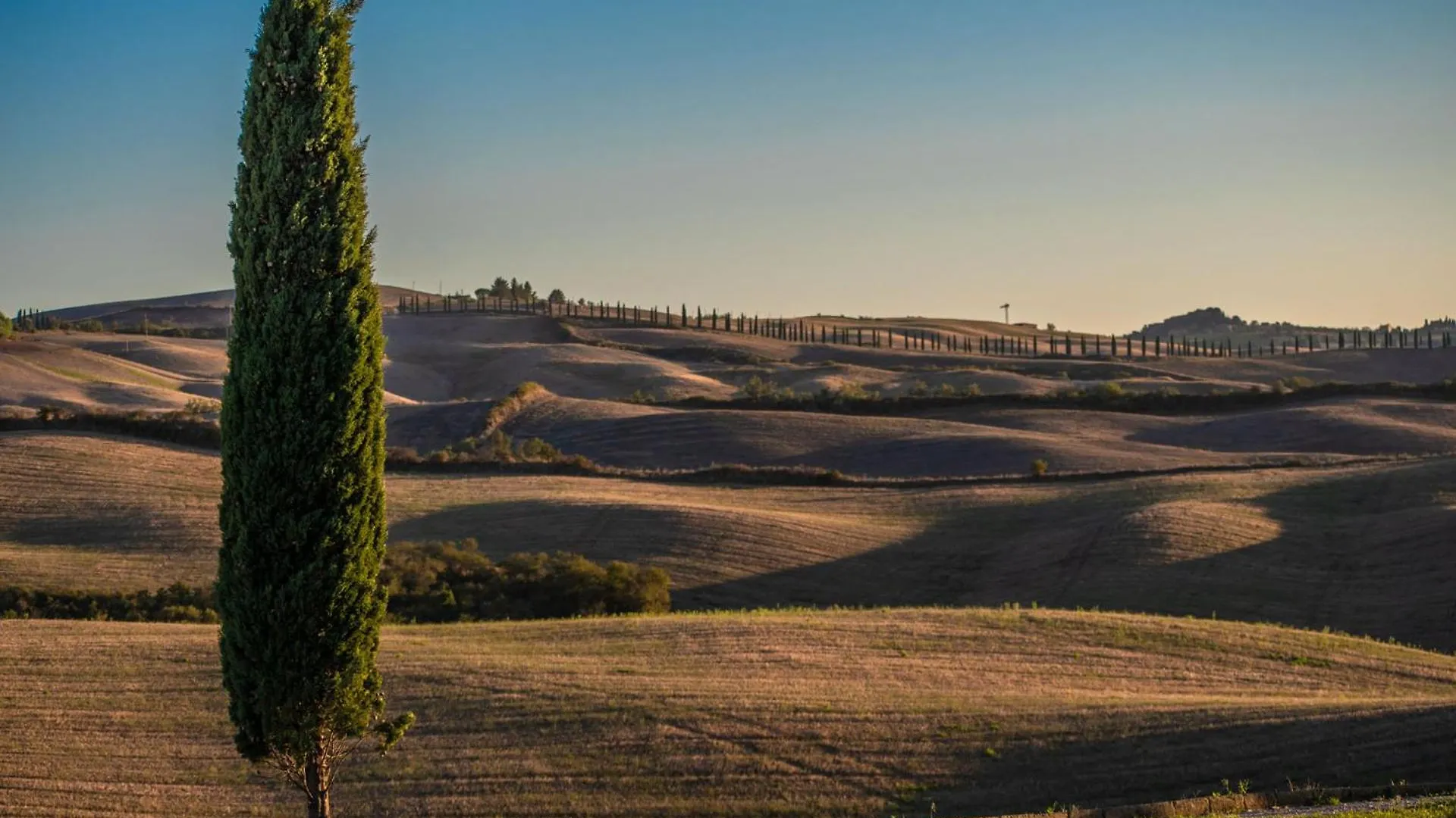 Podere Fossaccio Casa Olivo Asciano 0*,